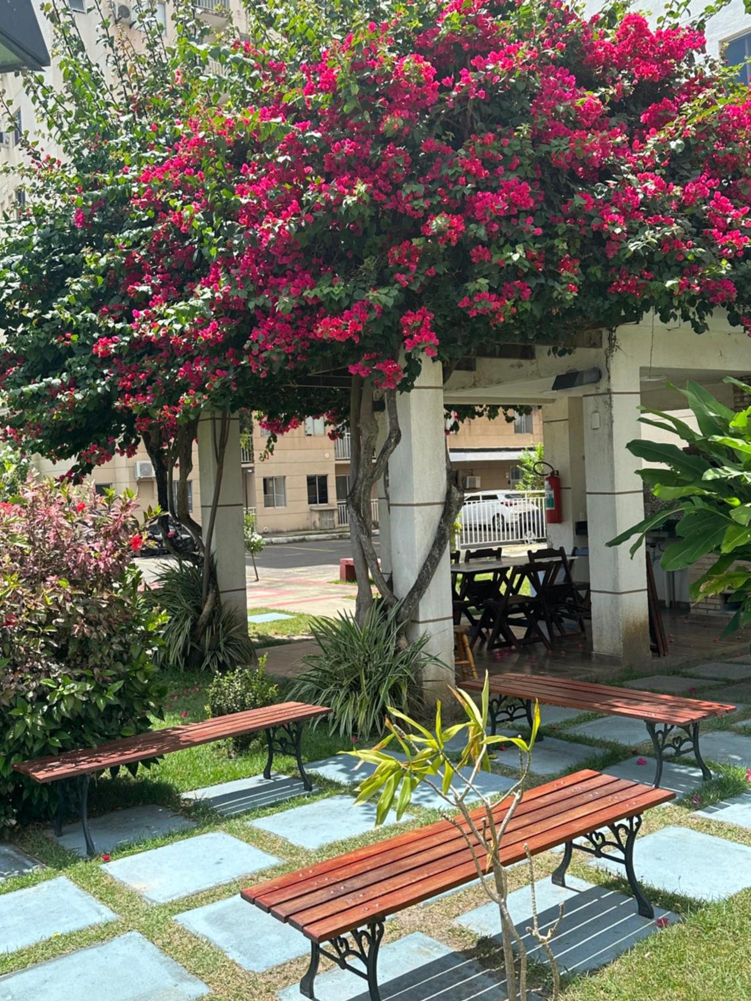 Confortavel A 900 Mts Da Do Aracagy Apartment *